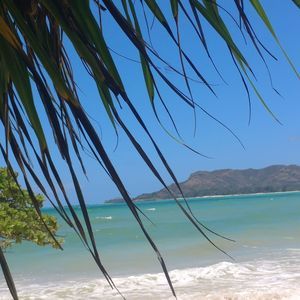 Meet your Posher, Maile